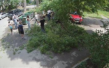  Аварийное дерево рухнуло на машины на улице Горького в Липецке